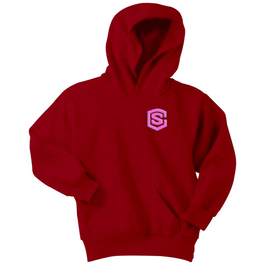 Youth Hoodie WITH PINK LOGO