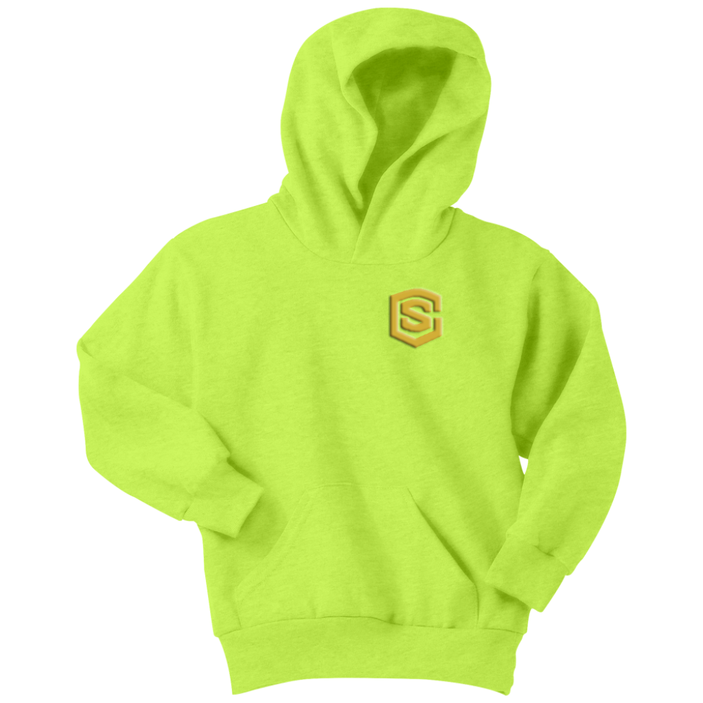 Youth Hoodie WITH GOLD LOGO