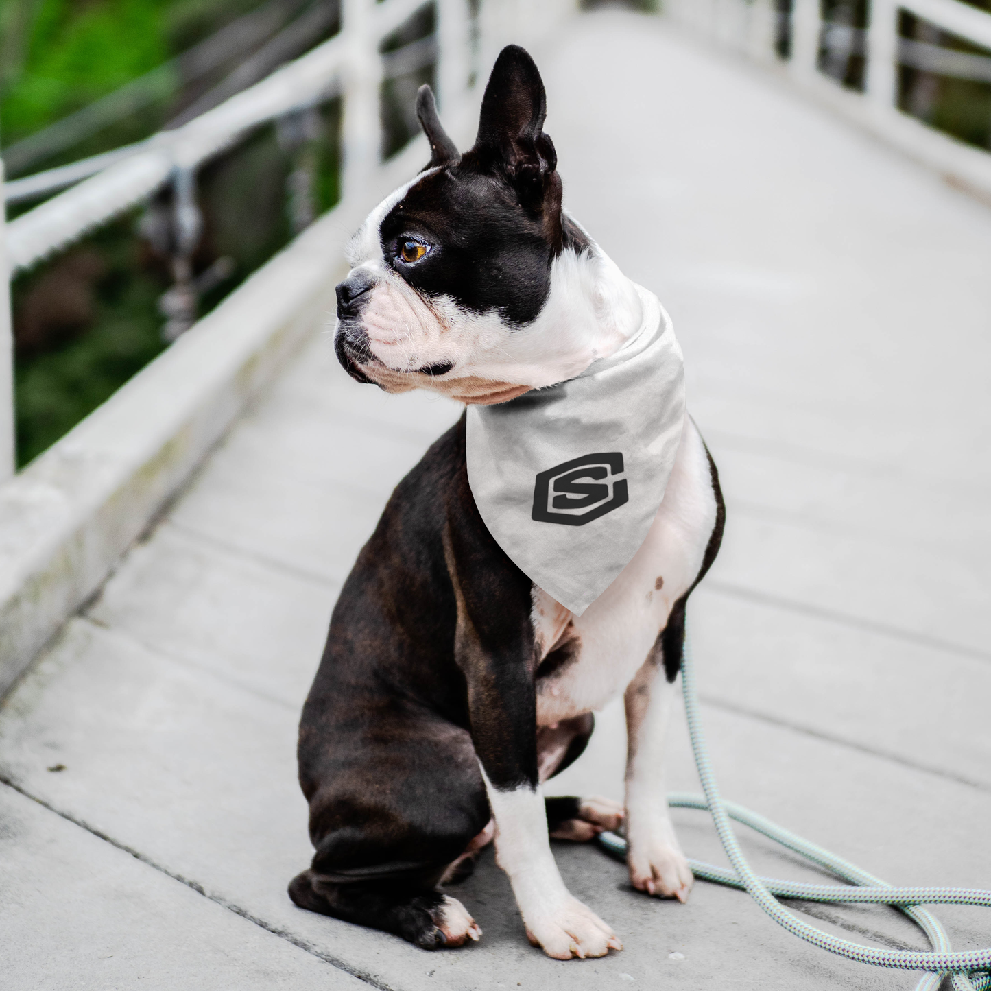Pet Bandana WITH BLACK LOGO