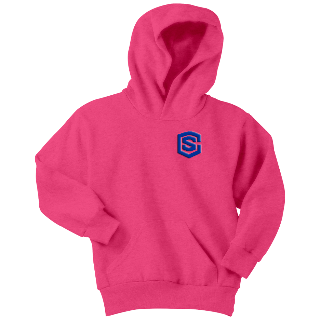 Youth Hoodie WITH BLUE LOGO