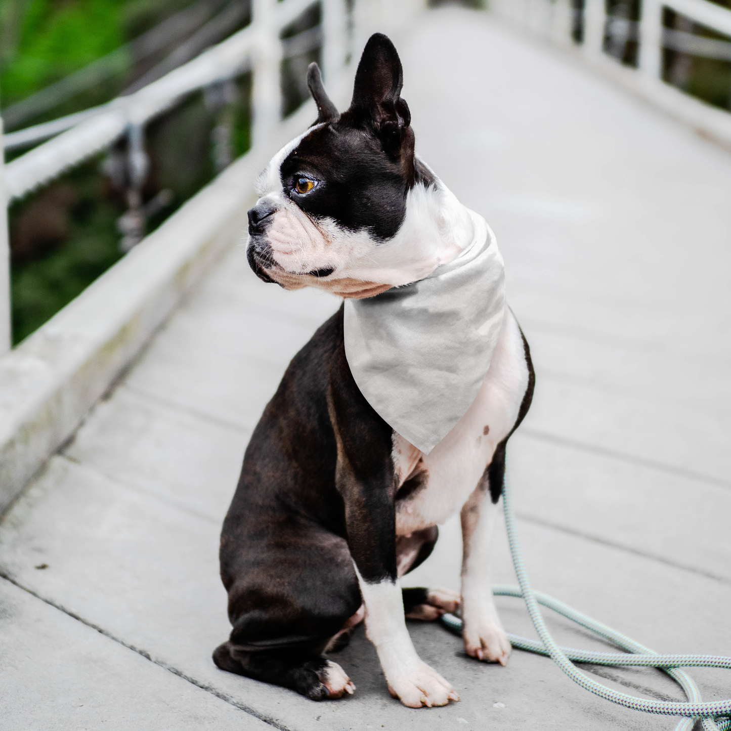 Pet Bandana WITH WHITE LOGO