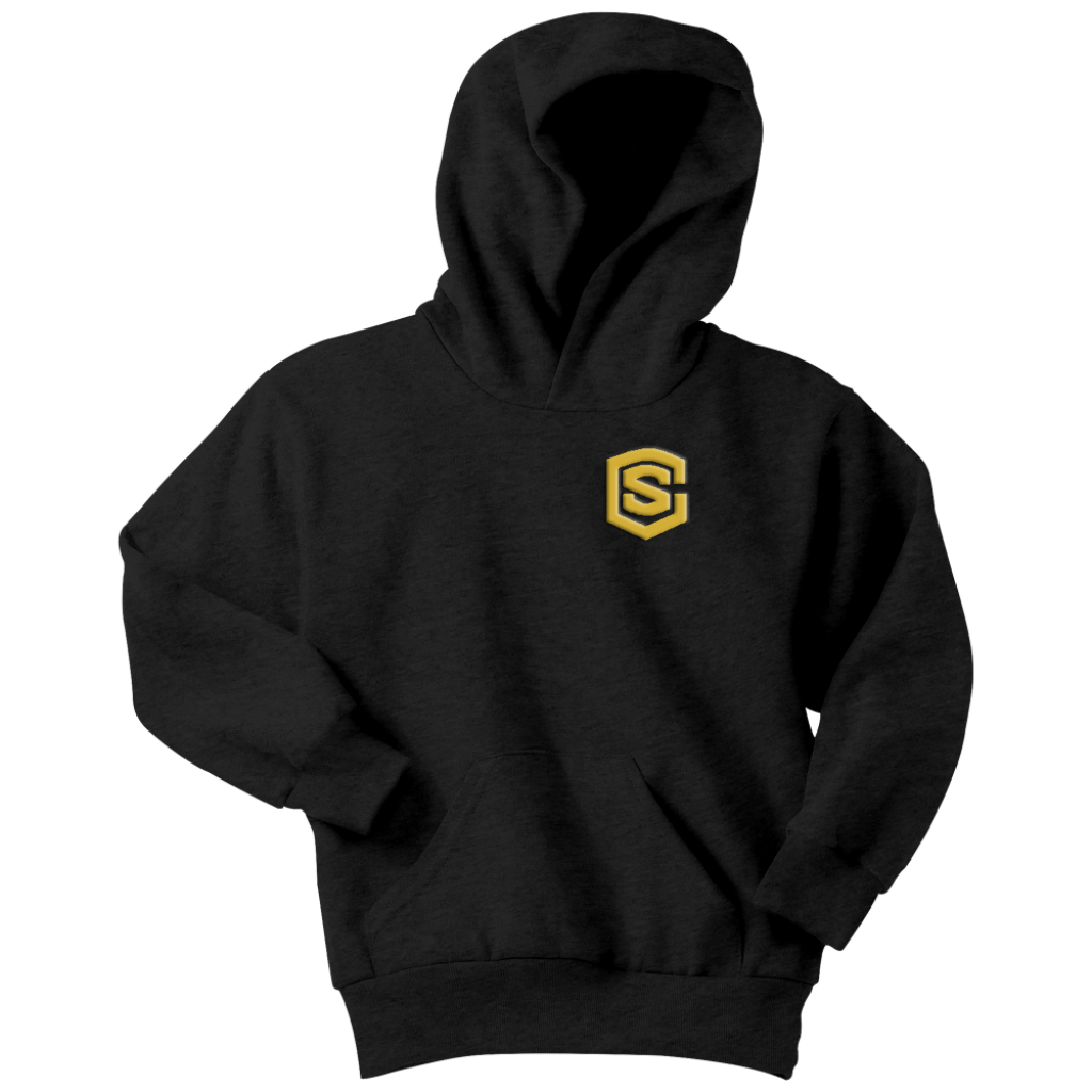 Youth Hoodie WITH GOLD LOGO