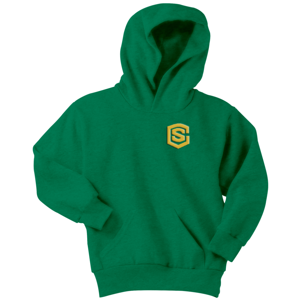 Youth Hoodie WITH GOLD LOGO