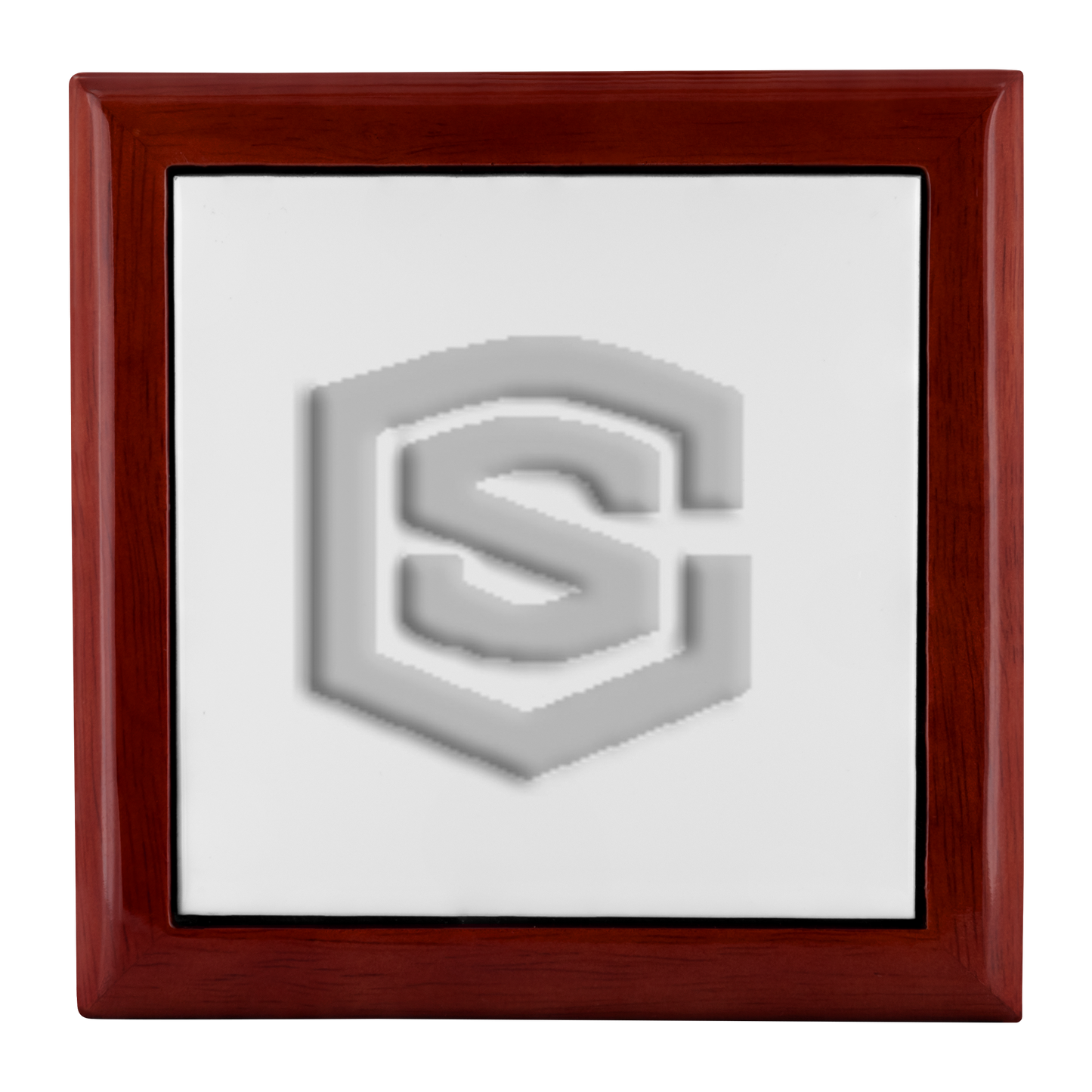 Jewelry Box WITH SILIVER LOGO