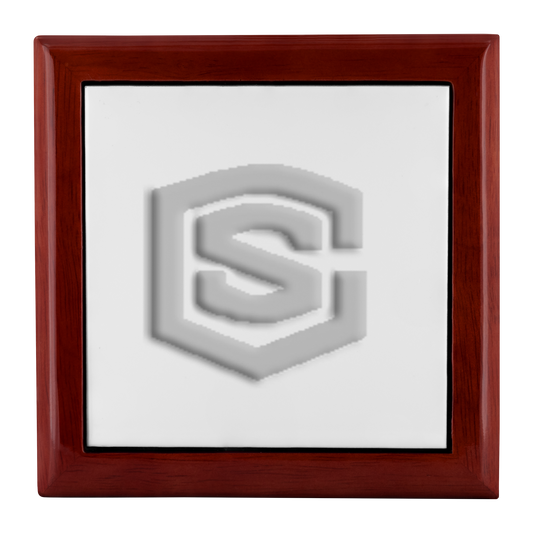 Jewelry Box WITH SILIVER LOGO