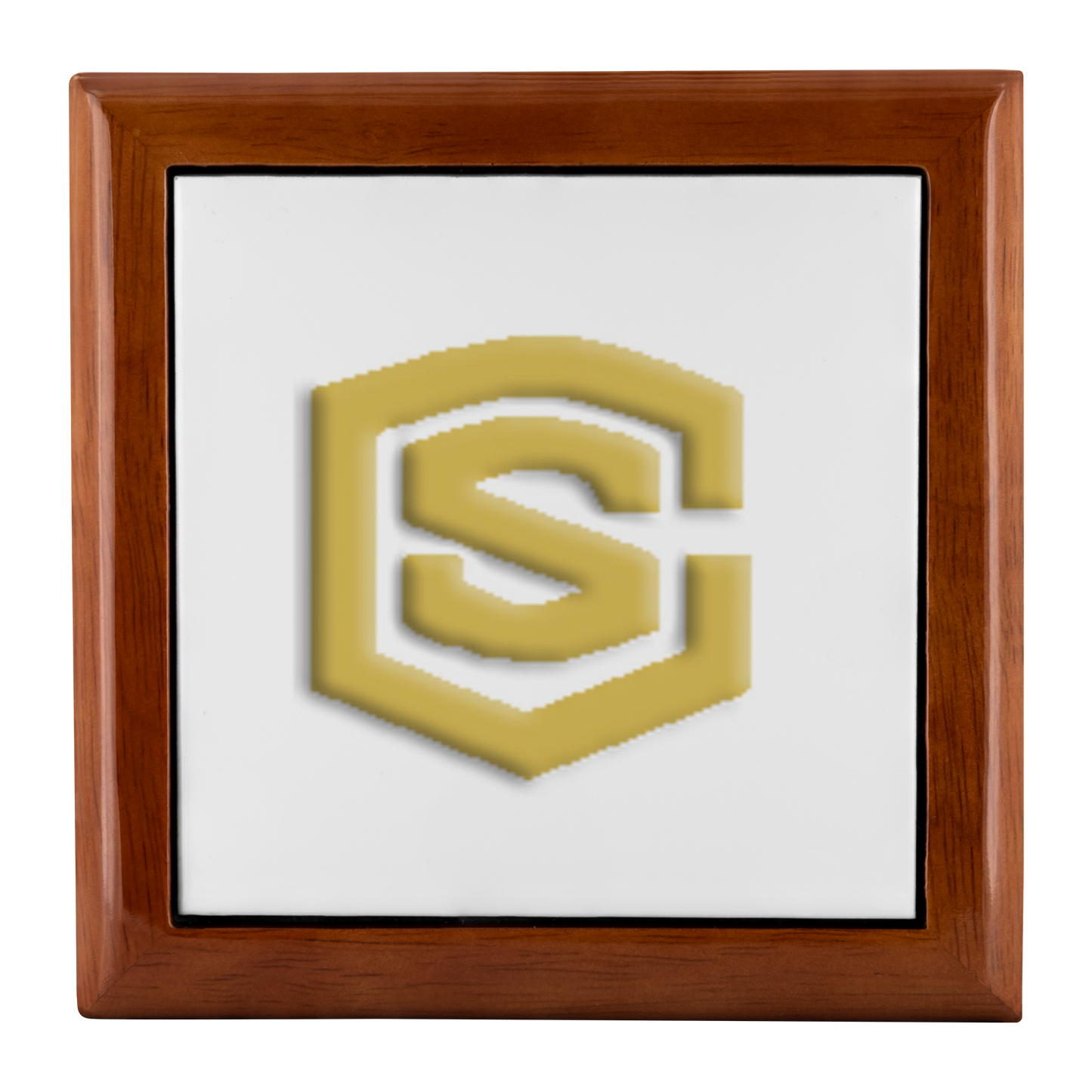 Jewelry Box WITH GOLD LOGO