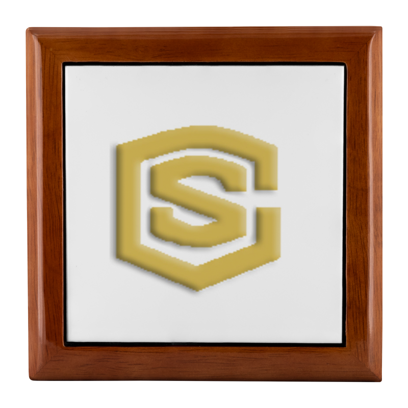 Jewelry Box WITH GOLD LOGO