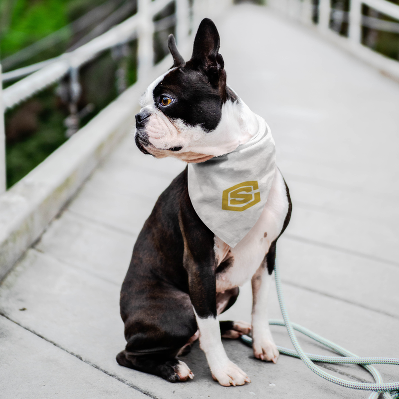 Pet Bandana WITH GOLD LOGO