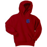 Youth Hoodie WITH BLUE  LOGO