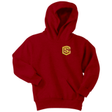 Youth Hoodie WITH GOLD LOGO