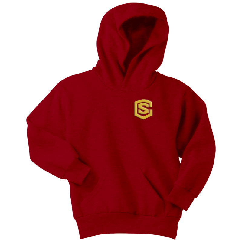 Youth Hoodie WITH GOLD LOGO