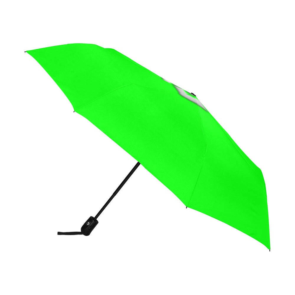 Green Anti-UV Automatic Umbrella With Silver Logo Anti-UV Automatic Umbrella(Outside Printing)(Model U09)