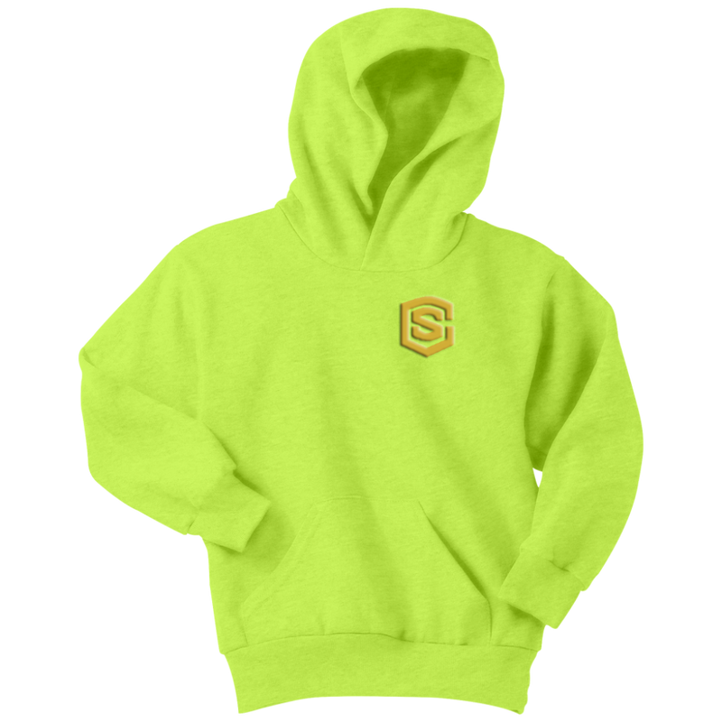Youth Hoodie WITH GOLD LOGO