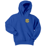 Youth Hoodie WITH GOLD LOGO