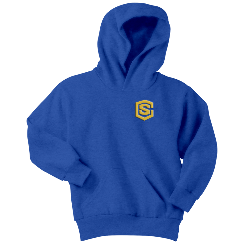 Youth Hoodie WITH GOLD LOGO