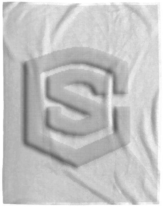 silver (2) VPL Cozy Plush Fleece Blanket - 60x80