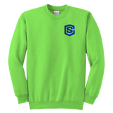 Youth Crewneck Sweatshirt WITH BLUE LOGO