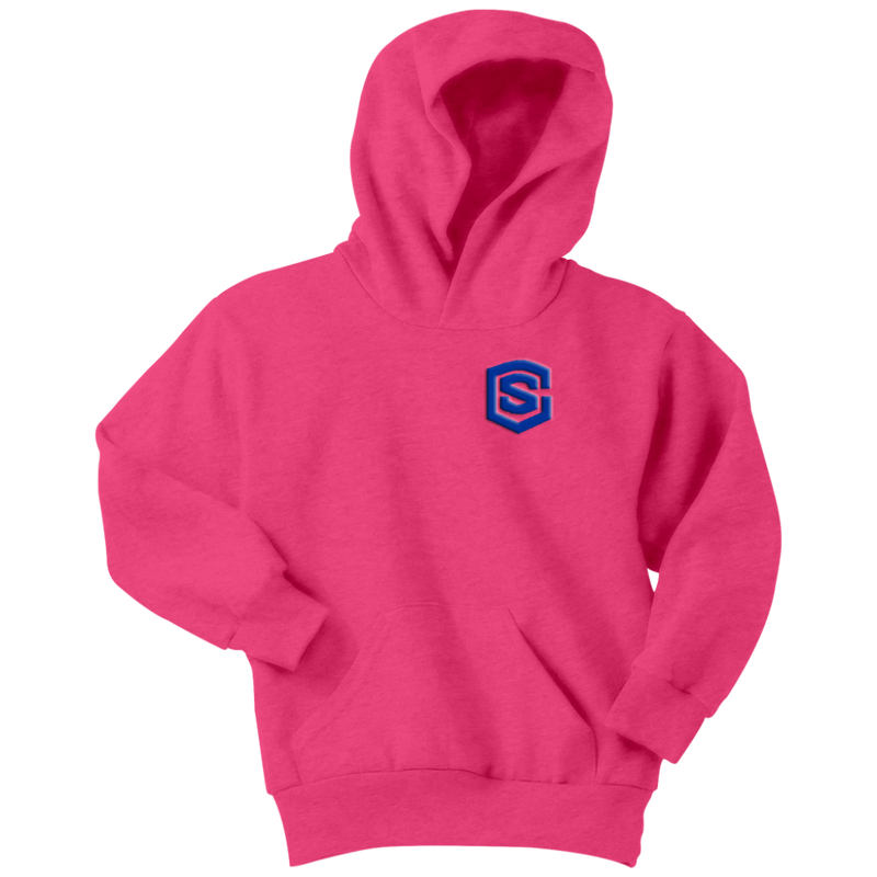 Youth Hoodie WITH BLUE  LOGO