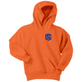 Youth Hoodie WITH BLUE  LOGO