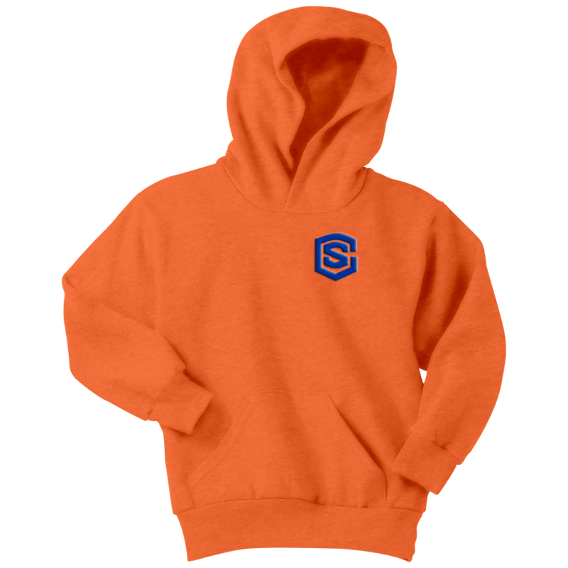 Youth Hoodie WITH BLUE  LOGO