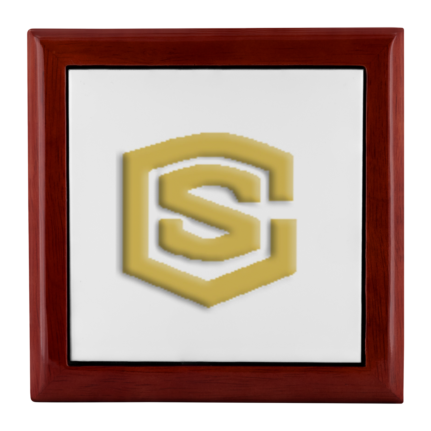 Jewelry Box WITH GOLD LOGO