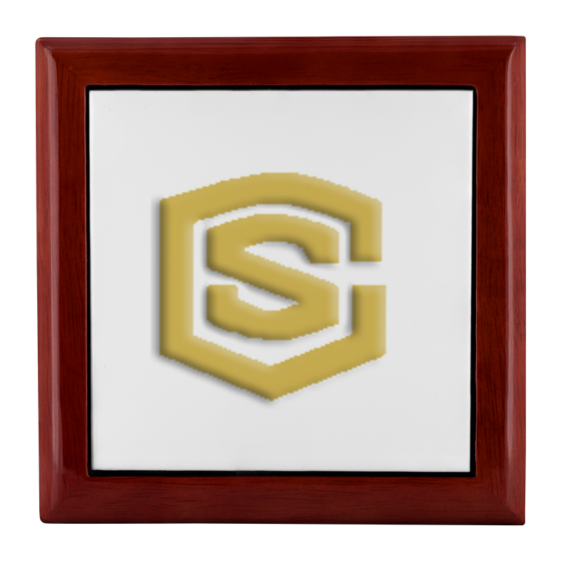 Jewelry Box WITH GOLD LOGO