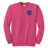 Youth Crewneck Sweatshirt WITH BLUE LOGO