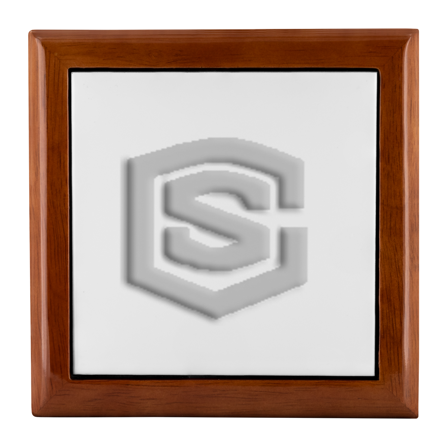 Jewelry Box WITH SILIVER LOGO