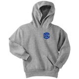 Youth Hoodie WITH BLUE  LOGO