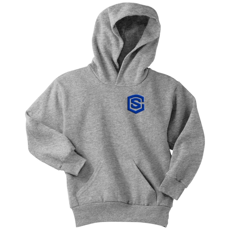 Youth Hoodie WITH BLUE  LOGO