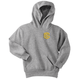 Youth Hoodie WITH GOLD LOGO