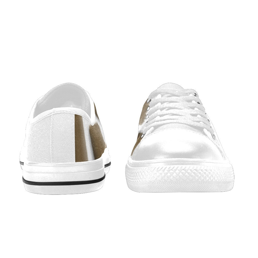 brown Logo Men's Classic Canvas Shoes (Model 018)