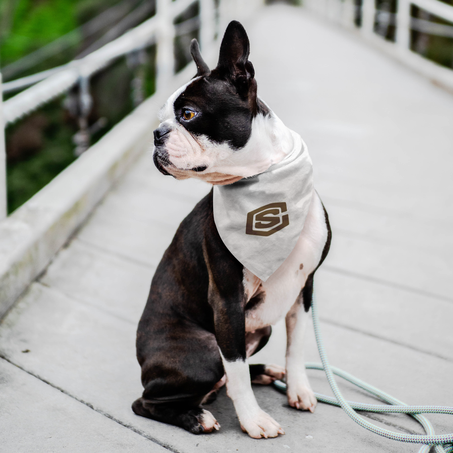 Pet Bandana WITH BROWN LOGO