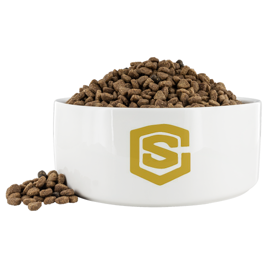 Dog Bowl WITH GOLD  LOGO