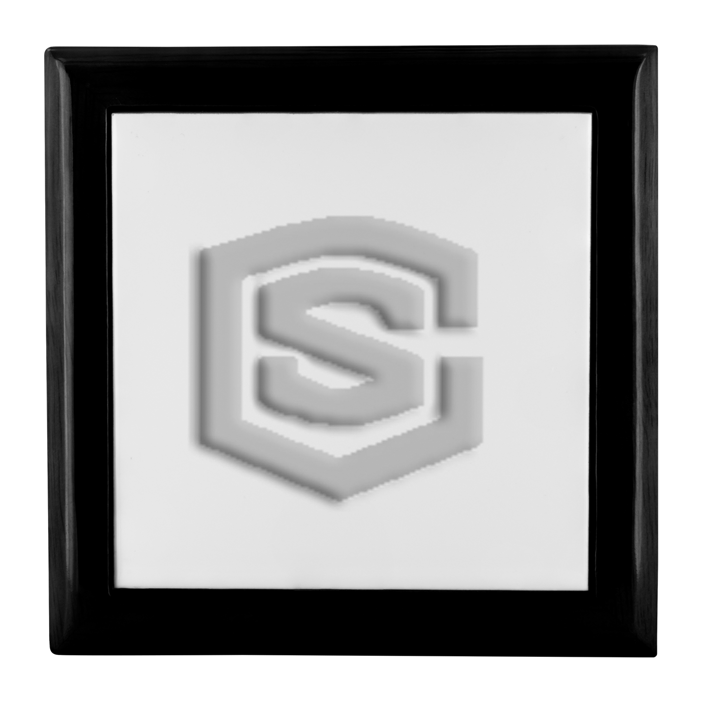 Jewelry Box WITH SILIVER LOGO