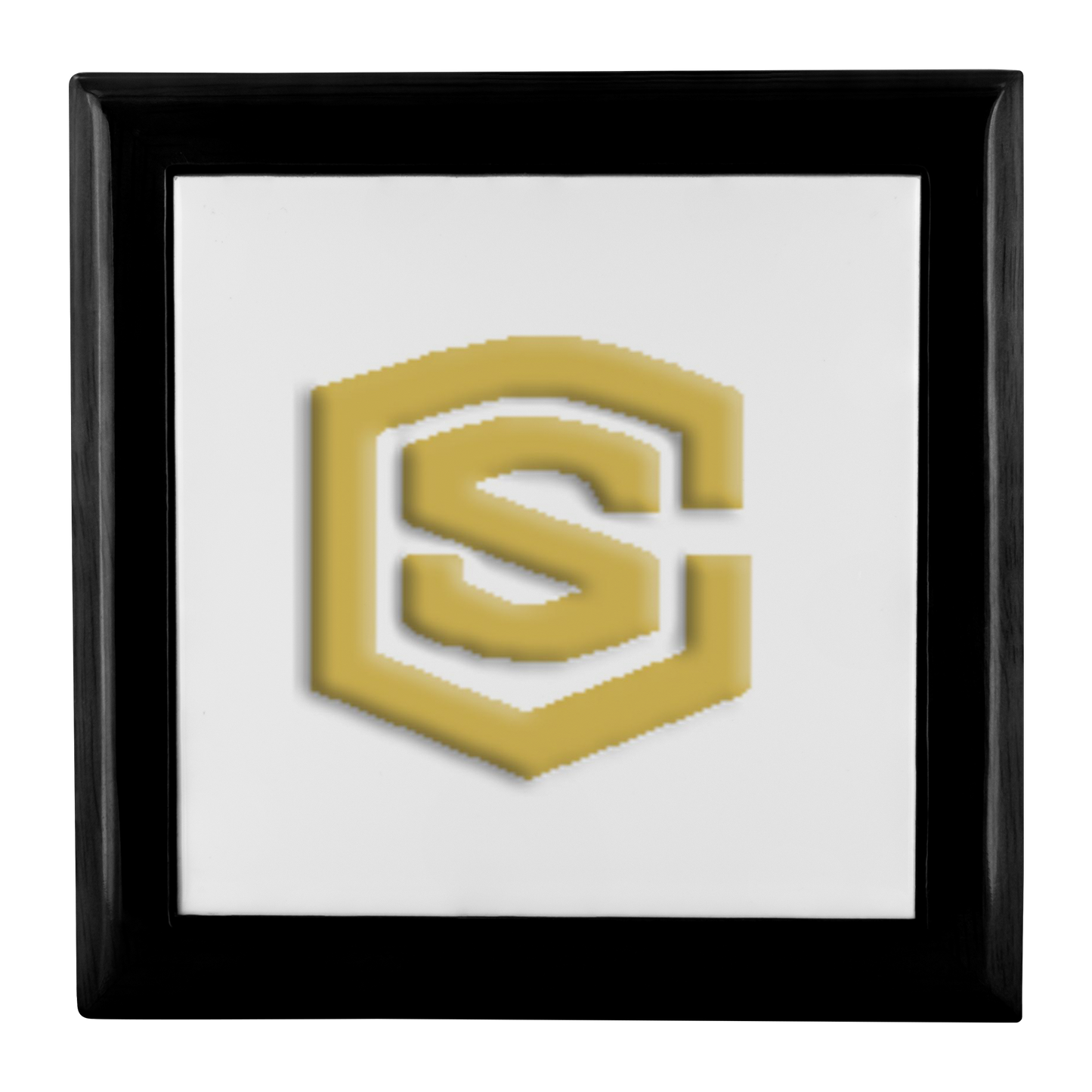 Jewelry Box WITH GOLD LOGO