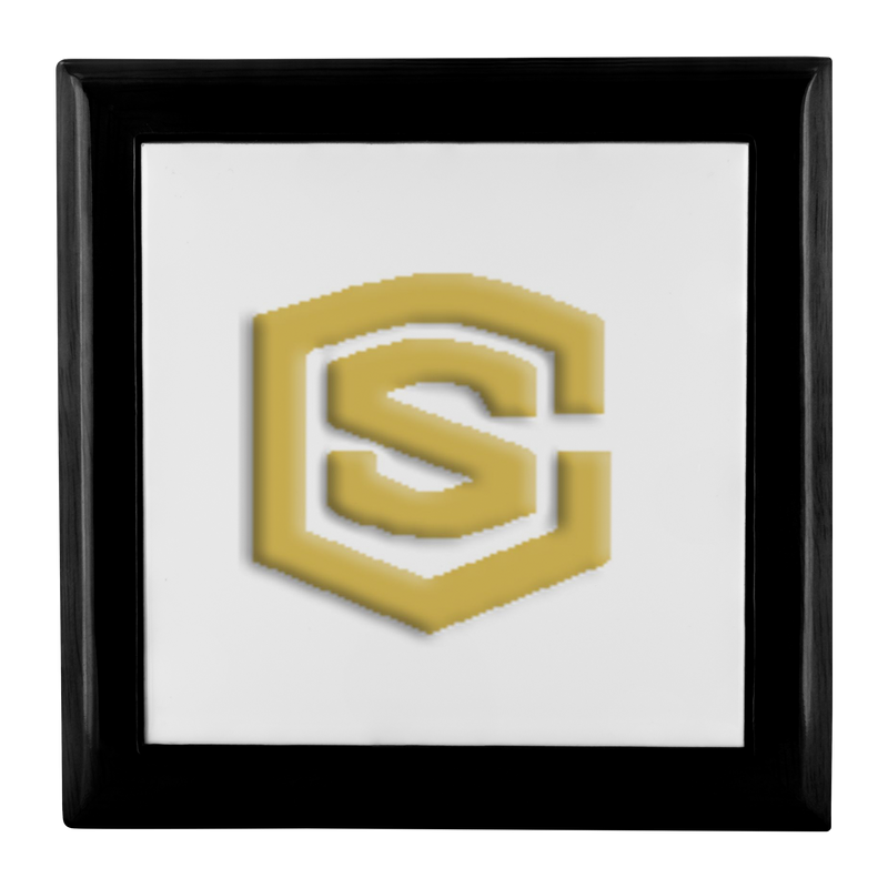 Jewelry Box WITH GOLD LOGO