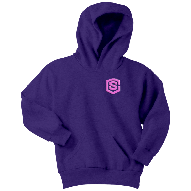 Youth Hoodie WITH PINK LOGO