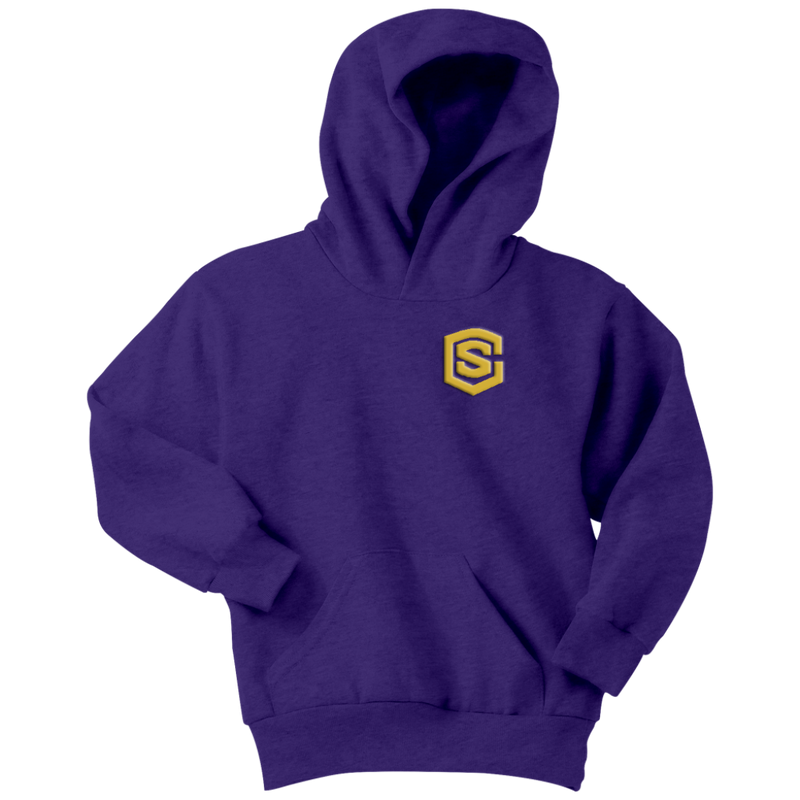 Youth Hoodie WITH GOLD LOGO