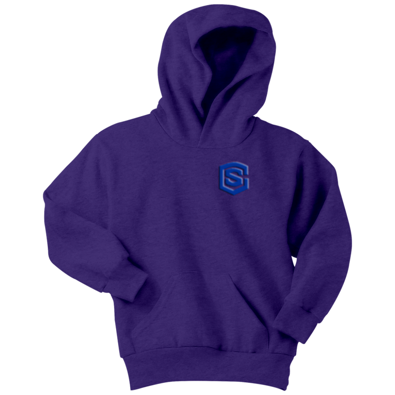 Youth Hoodie WITH BLUE  LOGO