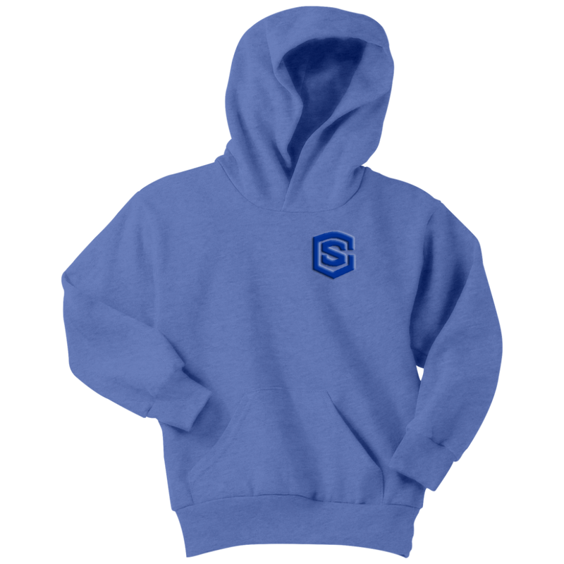Youth Hoodie WITH BLUE  LOGO
