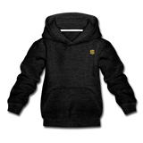 Kids‘ Premium Hoodie  WITH  GOLD LOGO - charcoal gray