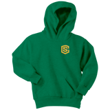 Youth Hoodie WITH GOLD LOGO