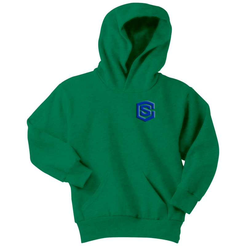 Youth Hoodie WITH BLUE  LOGO
