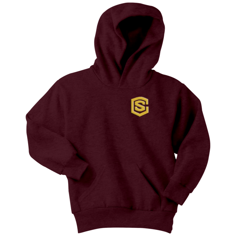 Youth Hoodie WITH GOLD LOGO