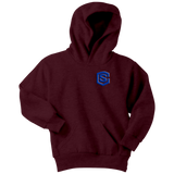Youth Hoodie WITH BLUE  LOGO
