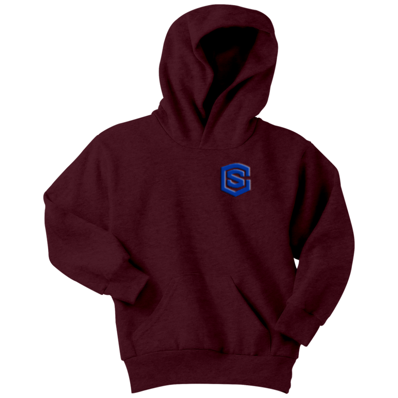 Youth Hoodie WITH BLUE  LOGO