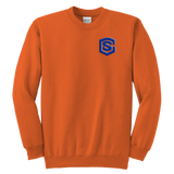 Youth Crewneck Sweatshirt WITH BLUE LOGO